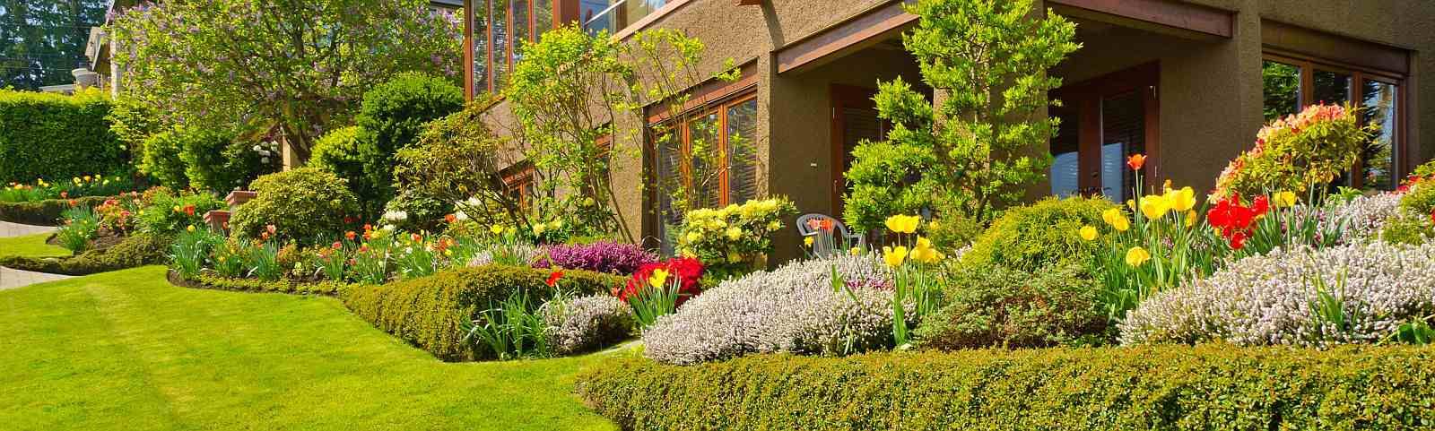 Condo HOA Landscape Services at Petalon, San Francisco, CA