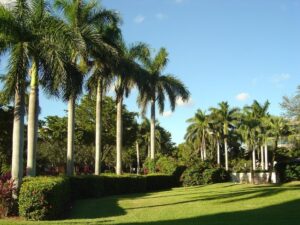 estate landscaping